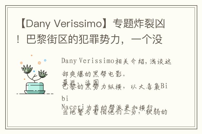 【Dany Verissimo】专题炸裂凶!巴黎街区的犯罪势力,一个没有法律制度的地方