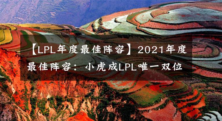 【LPL年度最佳阵容】2021年度最佳阵容:小虎成LPL唯一双位置都拿到过年度最佳的选手