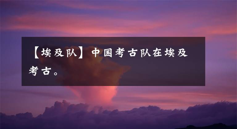 【埃及队】中国考古队在埃及考古。