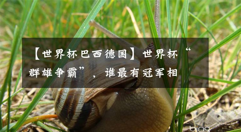 【世界杯巴西德国】世界杯“群雄争霸”，谁最有冠军相