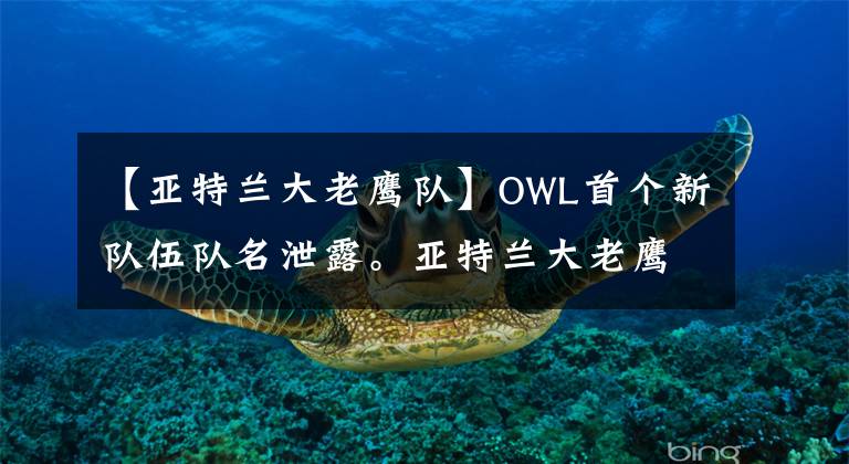 【亚特兰大老鹰队】OWL首个新队伍队名泄露。亚特兰大老鹰?