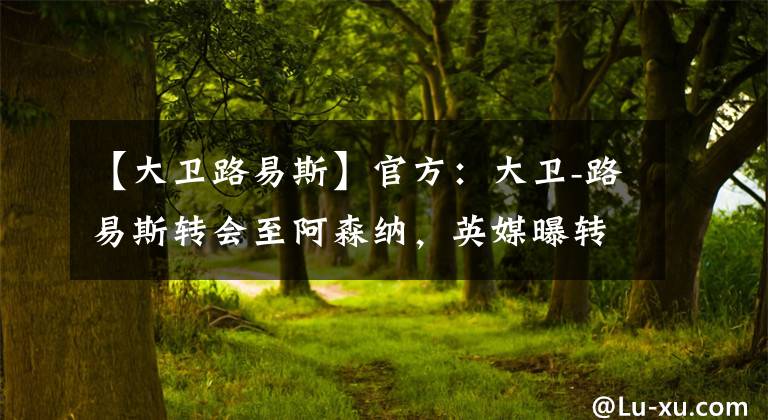 【大卫路易斯】官方:大卫-路易斯转会至阿森纳,英媒曝转会费为800万英镑