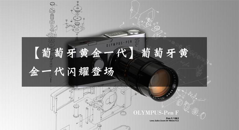 【葡萄牙黄金一代】葡萄牙黄金一代闪耀登场