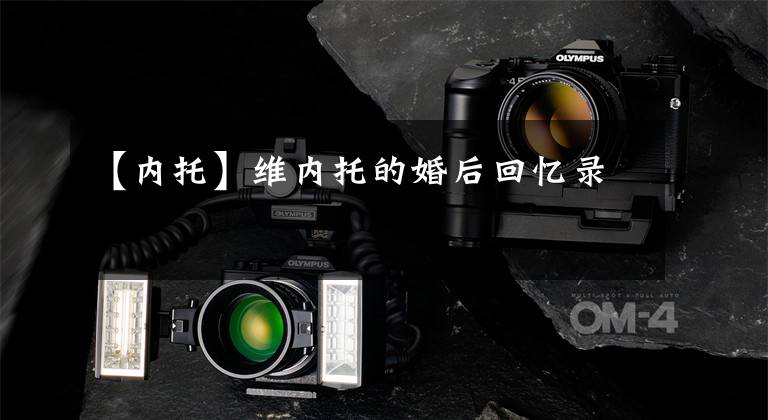 【内托】维内托的婚后回忆录