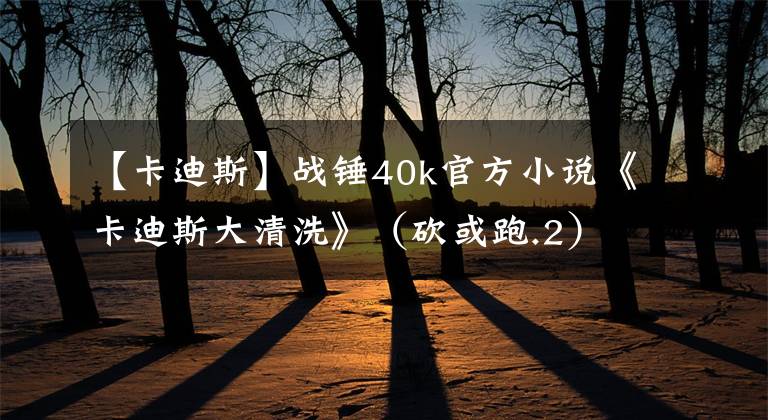 【卡迪斯】战锤40k官方小说《卡迪斯大清洗》(砍或跑.2)