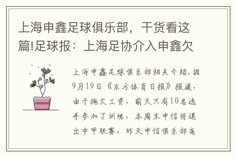 上海申鑫足球俱乐部,干货看这篇!足球报:上海足协介入申鑫欠薪罢赛,积极寻求解决办法