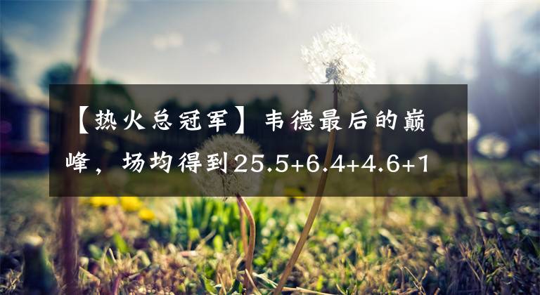 【热火总冠军】韦德最后的巅峰,场均得到25.5+6.4+4.6+1.46+1.14,命中率高达50%