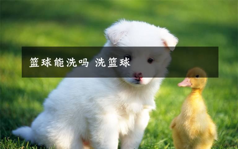 篮球能洗吗 洗篮球