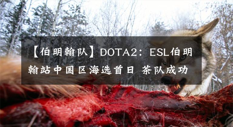 【伯明翰队】DOTA2:ESL伯明翰站中国区海选首日 茶队成功晋级八强!