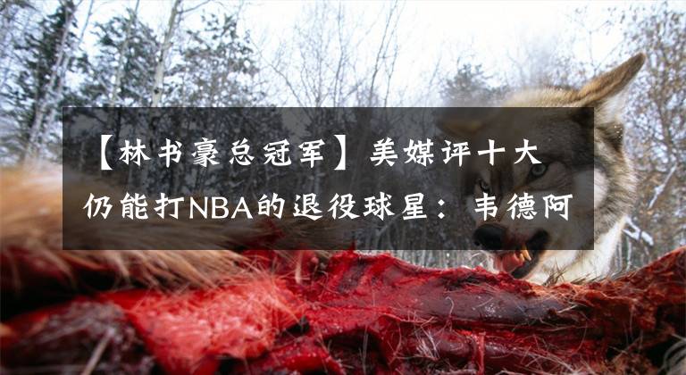 【林书豪总冠军】美媒评十大仍能打NBA的退役球星:韦德阿德领衔,雷阿伦书豪在列