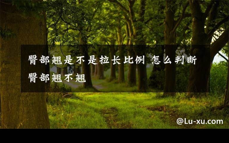 臀部翘是不是拉长比例 怎么判断臀部翘不翘