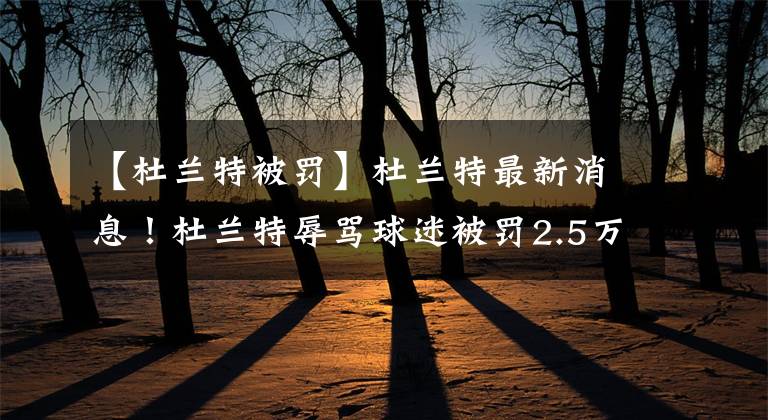 【杜兰特被罚】杜兰特最新消息!杜兰特辱骂球迷被罚2.5万美金,力挺欧文专注事业