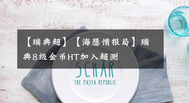 【瑞典超】【海瑟情报局】瑞典8级金币HT加入超测