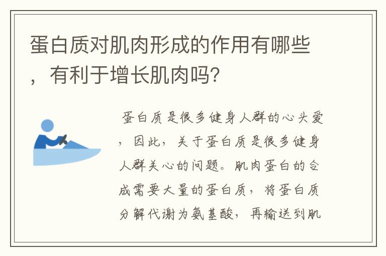 蛋白质对肌肉形成的作用有哪些,有利于增长肌肉吗?
