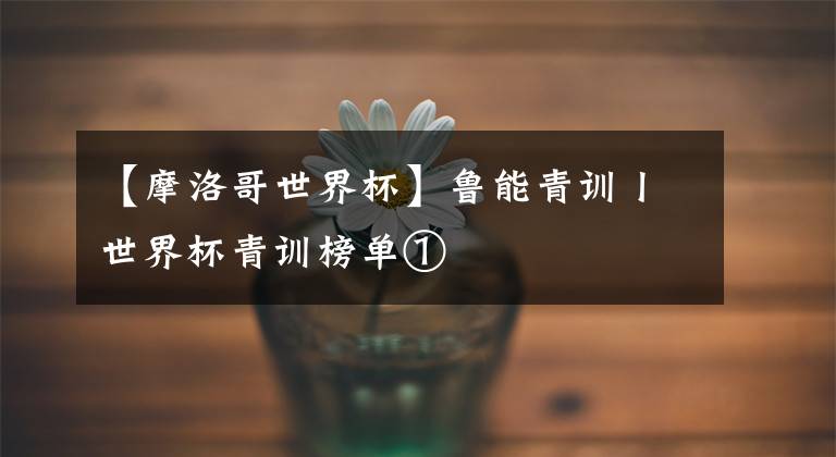 【摩洛哥世界杯】鲁能青训丨世界杯青训榜单①