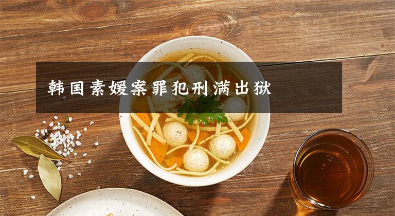 韩国素媛案罪犯刑满出狱