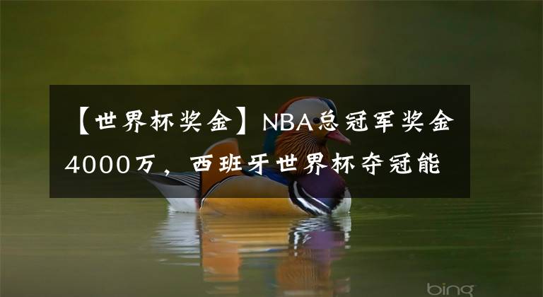 【世界杯奖金】NBA总冠军奖金4000万，西班牙世界杯夺冠能拿多少奖金？