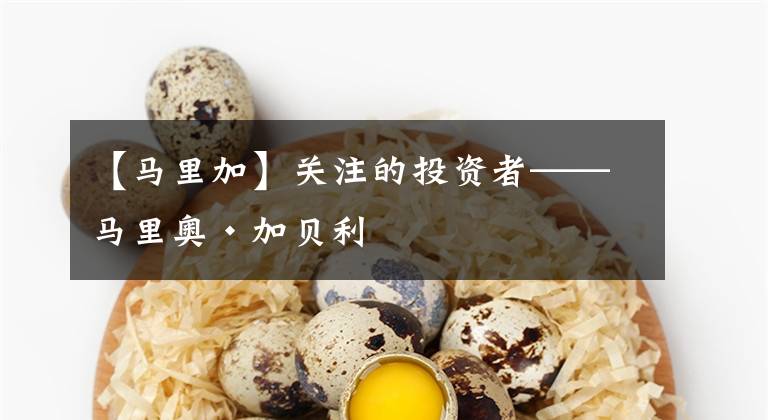 【马里加】关注的投资者——马里奥·加贝利