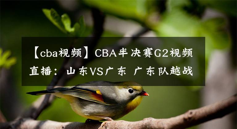 【cba视频】CBA半决赛G2视频直播：山东VS广东 广东队越战越勇，山东能否扳回一城？