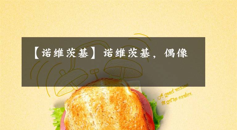 【诺维茨基】诺维茨基，偶像