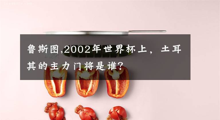 鲁斯图,2002年世界杯上，土耳其的主力门将是谁？