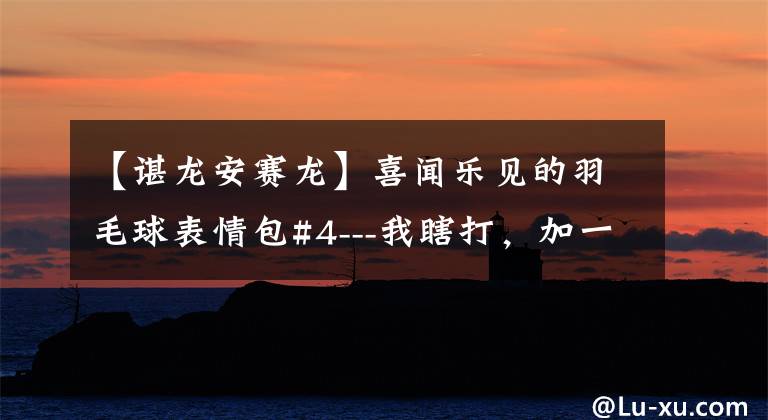 【谌龙安赛龙】喜闻乐见的羽毛球表情包#4---我瞎打，加一个