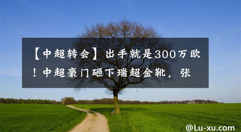 【中超转会】出手就是300万欧！中超豪门砸下瑞超金靴，张玉宁们有对手了！