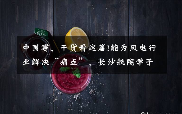 中国赛,干货看这篇!能为风电行业解决“痛点”,长沙航院学子参赛项目夺全国比赛大奖