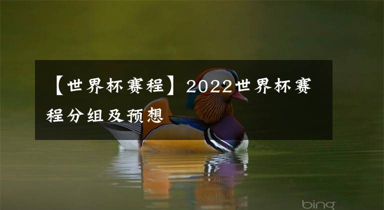 【世界杯赛程】2022世界杯赛程分组及预想