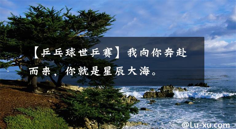 【乒乓球世乒赛】我向你奔赴而来，你就是星辰大海。