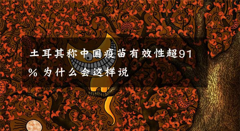 土耳其称中国疫苗有效性超91% 为什么会这样说