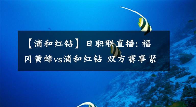 【浦和红钻】日职联直播: 福冈黄蜂vs浦和红钻 双方赛事紧凑，球队体力状况堪忧