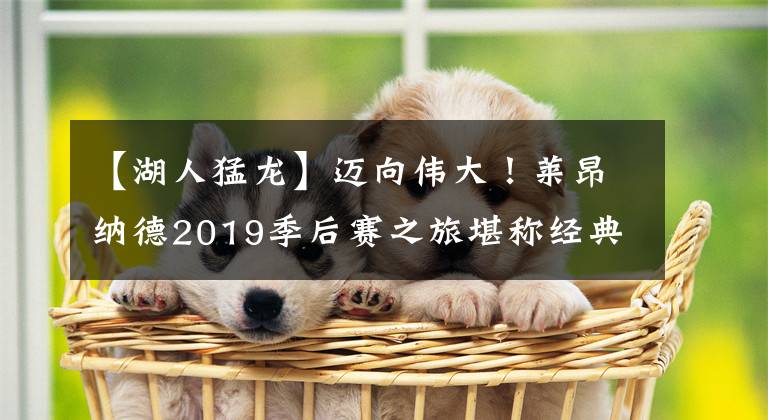 【湖人猛龙】迈向伟大！莱昂纳德2019季后赛之旅堪称经典，联盟第一人实至名归，单核夺冠媲美老司机