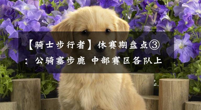 【骑士步行者】休赛期盘点③：公骑塞步鹿 中部赛区各队上赛季的失策之处