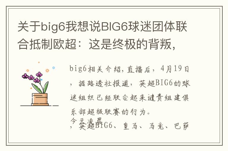 关于big6我想说BIG6球迷团体联合抵制欧超:这是终极的背叛,是俱乐部的死亡