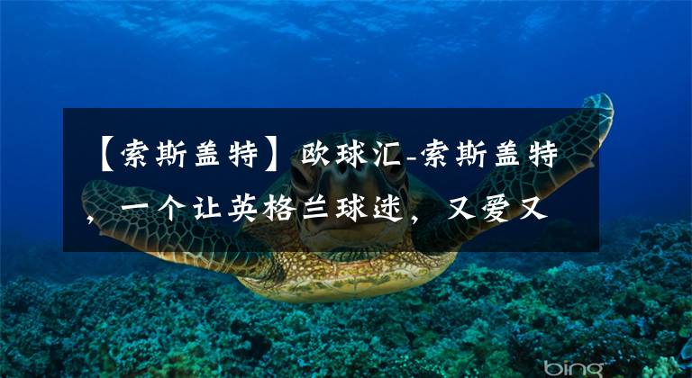 【索斯盖特】欧球汇-索斯盖特,一个让英格兰球迷,又爱又恨的男人