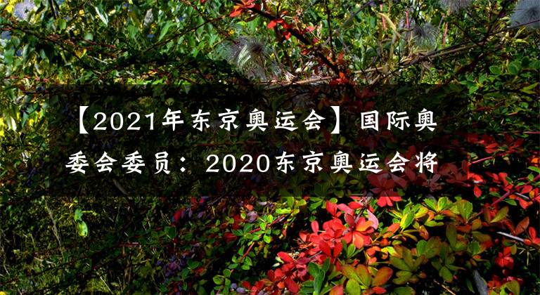 【2021年东京奥运会】国际奥委会委员:2020东京奥运会将推迟至2021年