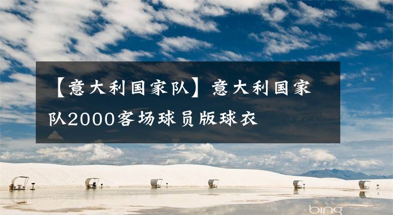 【意大利国家队】意大利国家队2000客场球员版球衣