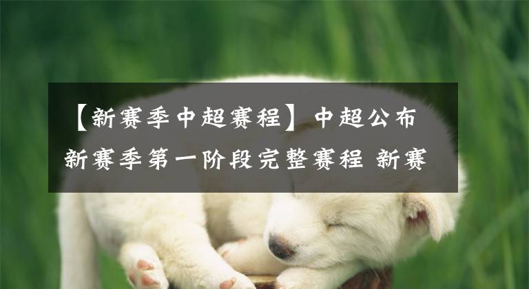 【新赛季中超赛程】中超公布新赛季第一阶段完整赛程 新赛制考验各队综合实力