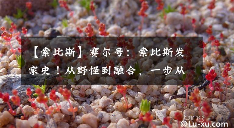 【索比斯】赛尔号：索比斯发家史！从野怪到融合，一步从路人演变PVE王牌！