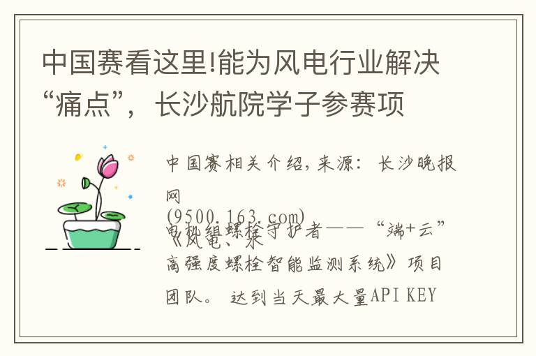 中国赛看这里!能为风电行业解决“痛点”,长沙航院学子参赛项目夺全国比赛大奖