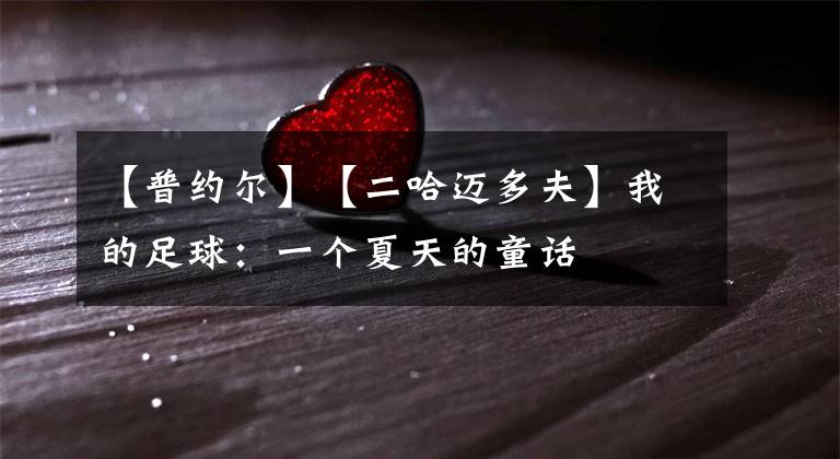 【普约尔】【二哈迈多夫】我的足球：一个夏天的童话