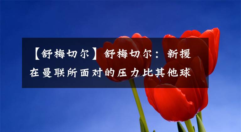 【舒梅切尔】舒梅切尔：新援在曼联所面对的压力比其他球队要大 每场比赛都必须展现最好状态