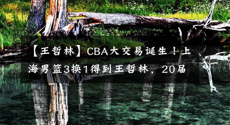 【王哲林】CBA大交易诞生！上海男篮3换1得到王哲林，20届状元加盟福建男篮