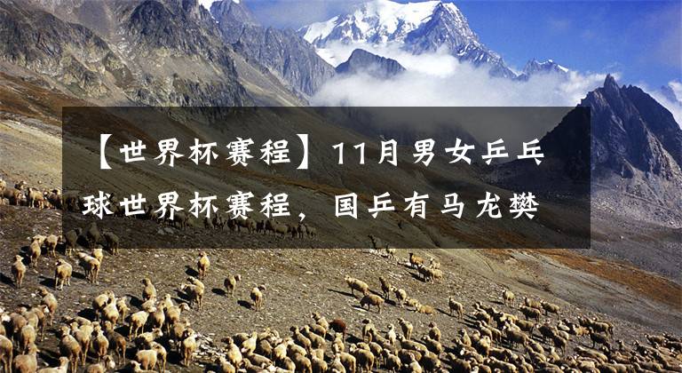 【世界杯赛程】11月男女乒乓球世界杯赛程，国乒有马龙樊振东陈梦孙颖莎