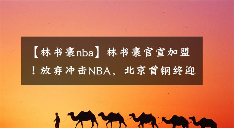 【林书豪nba】林书豪官宣加盟!放弃冲击NBA,北京首钢终迎回争冠强援