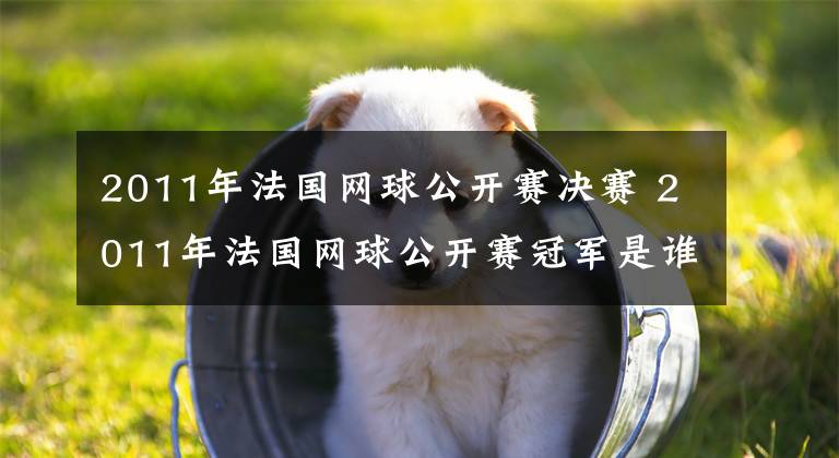 2011年法国网球公开赛决赛 2011年法国网球公开赛冠军是谁
