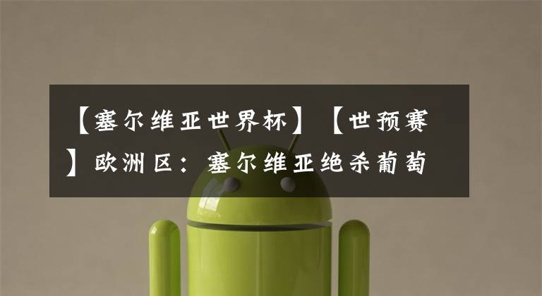 【塞尔维亚世界杯】【世预赛】欧洲区：塞尔维亚绝杀葡萄牙闯入世界杯！