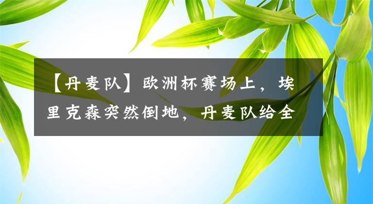 【丹麦队】欧洲杯赛场上，埃里克森突然倒地，丹麦队给全世界上了一课