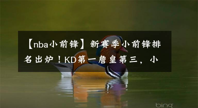 【nba小前锋】新赛季小前锋排名出炉!KD第一詹皇第三,小卡因伤未能上榜